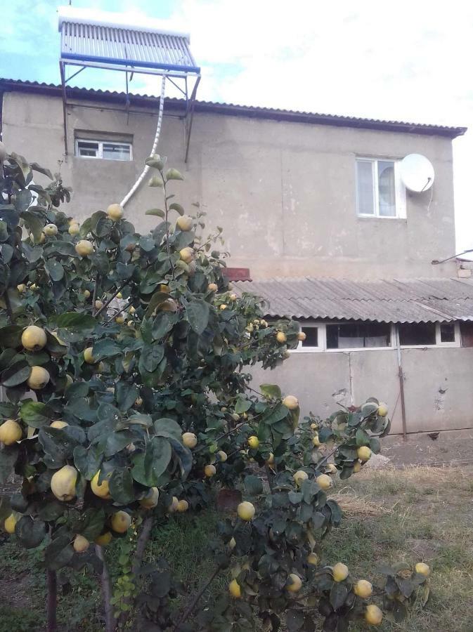 Udabno Naili Hotel Exterior foto